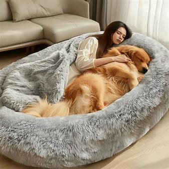 How to Choose the Perfect Bed for Your Pet (Avoid These Common Mistakes!)